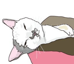 The cats to which love is dear sticker #7137212