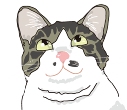 The cats to which love is dear sticker #7137214