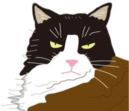 The cats to which love is dear sticker #7137215