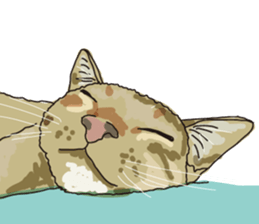 The cats to which love is dear sticker #7137216