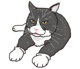 The cats to which love is dear sticker #7137217