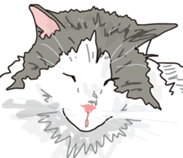 The cats to which love is dear sticker #7137219