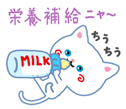 A White Cat @ Blue Eyes sticker #7137719