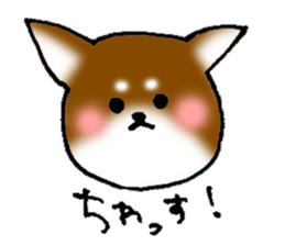yuru Chihuahua brown sticker #7139224