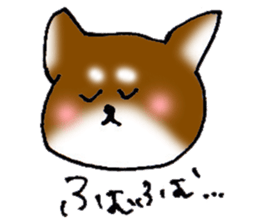 yuru Chihuahua brown sticker #7139243