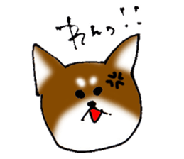 yuru Chihuahua brown sticker #7139245