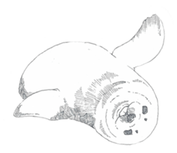 Toriaezu oshite okou ka sticker #7139609