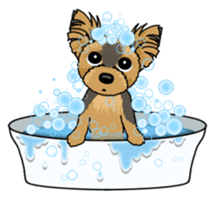 Small brave dog Yorkshire Terrier sticker #7142519