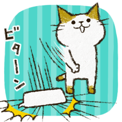 Cute cat 'Cyanpachi'. no.3