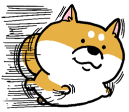 Dog(Mameshiba) sticker #7143713