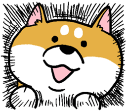 Dog(Mameshiba) sticker #7143715