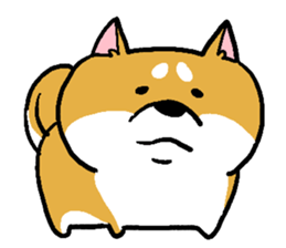 Dog(Mameshiba) sticker #7143728