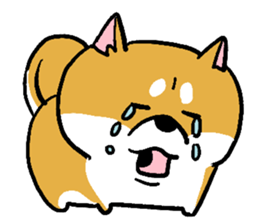 Dog(Mameshiba) sticker #7143730