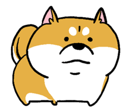 Dog(Mameshiba) sticker #7143732