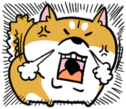 Dog(Mameshiba) sticker #7143735