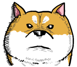 Dog(Mameshiba) sticker #7143743