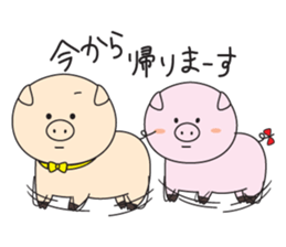Mr.Pig and Ms Pig sticker #7144795