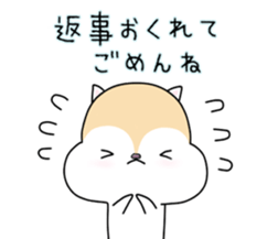 White squirrel sticker sticker #7144888