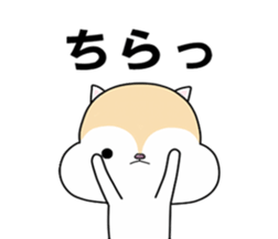 White squirrel sticker sticker #7144890