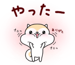 White squirrel sticker sticker #7144892