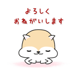 White squirrel sticker sticker #7144894