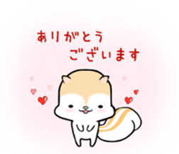 White squirrel sticker sticker #7144895