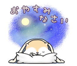 White squirrel sticker sticker #7144896