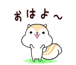 White squirrel sticker sticker #7144897