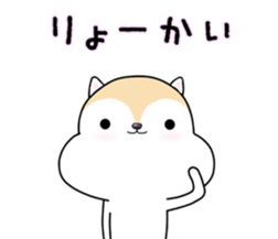 White squirrel sticker sticker #7144899