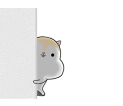 White squirrel sticker sticker #7144900