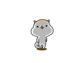 White squirrel sticker sticker #7144902