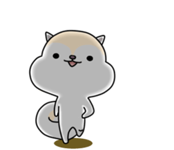 White squirrel sticker sticker #7144903