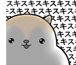 White squirrel sticker sticker #7144904