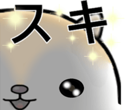 White squirrel sticker sticker #7144905