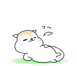 White squirrel sticker sticker #7144909