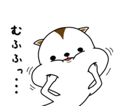 White squirrel sticker sticker #7144912