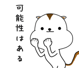 White squirrel sticker sticker #7144913