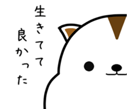 White squirrel sticker sticker #7144914