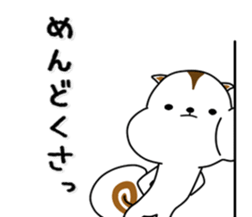 White squirrel sticker sticker #7144917