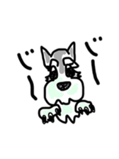 Mari, Kiku, and Hana sticker #7147681