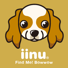 iinu - Cavalier King Charles Spaniel