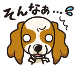 iinu - Cavalier King Charles Spaniel sticker #7147924