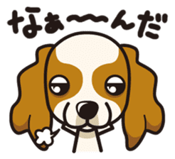 iinu - Cavalier King Charles Spaniel sticker #7147933