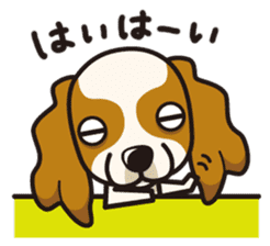 iinu - Cavalier King Charles Spaniel sticker #7147934