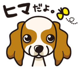 iinu - Cavalier King Charles Spaniel sticker #7147936