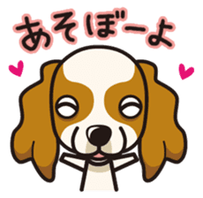 iinu - Cavalier King Charles Spaniel sticker #7147937
