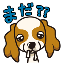 iinu - Cavalier King Charles Spaniel sticker #7147939