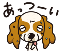 iinu - Cavalier King Charles Spaniel sticker #7147948