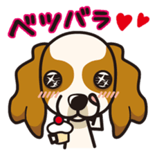 iinu - Cavalier King Charles Spaniel sticker #7147951
