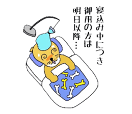 Shibaken HANA's story sticker #7148499
